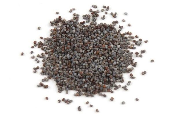 poppy seed pods​ 