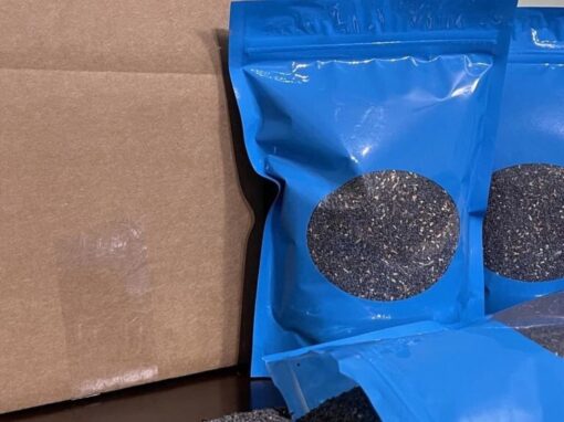 Buy Poppy Seed Pods
