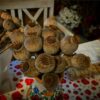 giant poppy heads uk