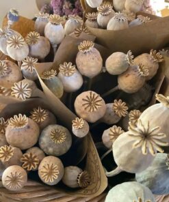 dried poppy decoration 1kg